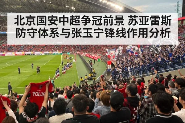 football stadium fans